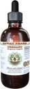 Oregano Extracto líquido libre de alcohol, orégano orgánico (Origanum vulgare) Leaf seco Glycerite Natural Herbal Suplemento, Hawaii Pharm, USA 4 fl.oz